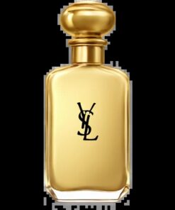 YSL Gold Chưa rõ